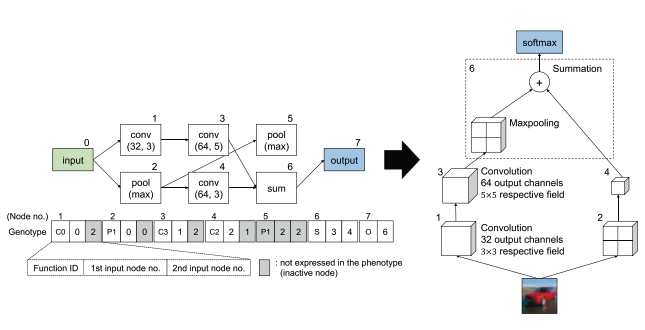 Evolution of Deep Convolutional Neural Networks Using Cartesian Genetic Programming