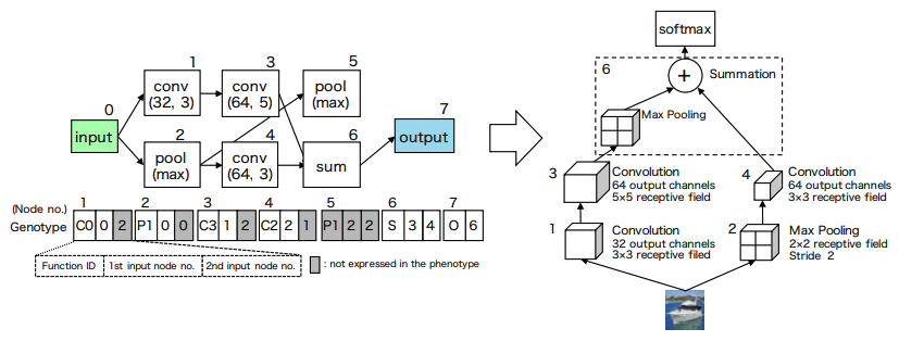 A genetic programming approach to designing convolutional neural network architectures